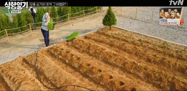 예능에서 재능낭비하는 서장훈.gif | 인스티즈