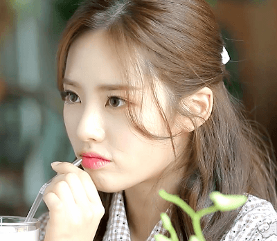 프로미스나인 상왕돌.gif | 인스티즈