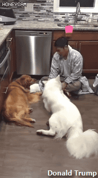 ??? : 하여간 괭이든 든 집에 들이기만해봐.gif | 인스티즈