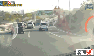 파인애플로 난장판된 도로.gif | 인스티즈