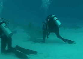 진짜 아찔한 순간들.gif | 인스티즈