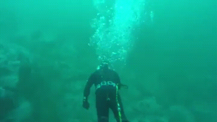 평화로운 바닷속 | 인스티즈