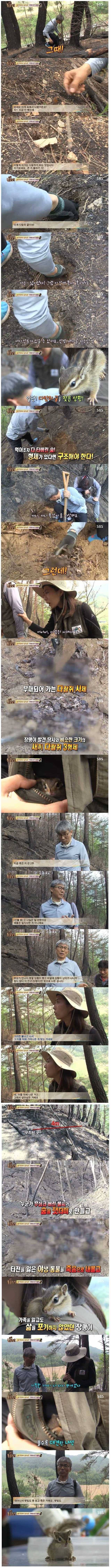 기적의 아기다람쥐 | 인스티즈