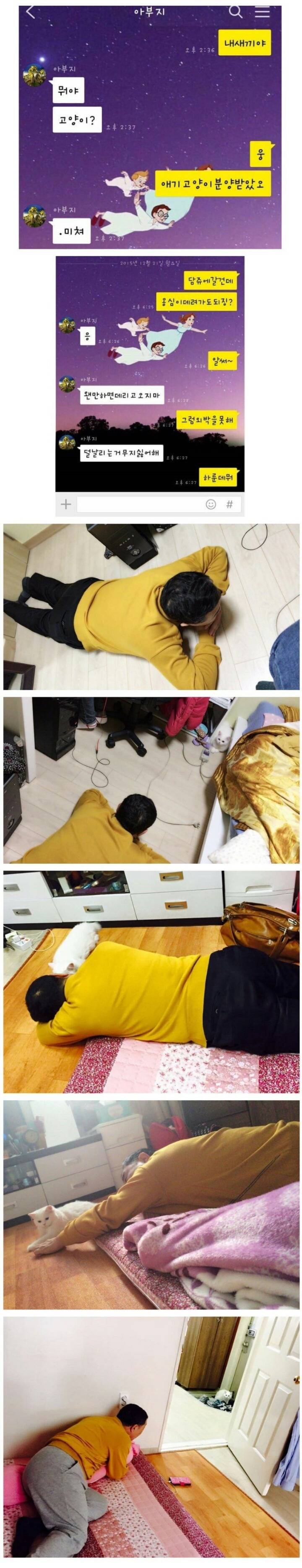 고양이가 너무싫은 아빠 | 인스티즈