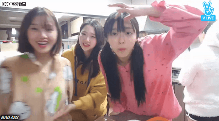 오마이걸 멤버들 서로간의 장난 클래스.gif | 인스티즈