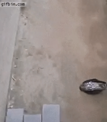 아저씨!! 일어나봐여 입돌아가요 | 인스티즈