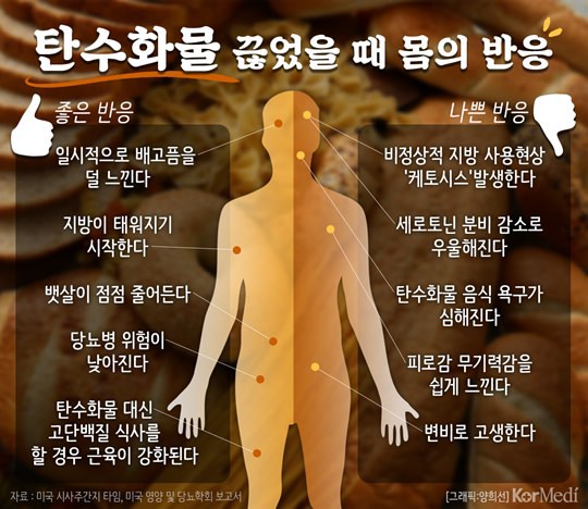 탄수화물을 끊었을 때 몸의 반응 | 인스티즈