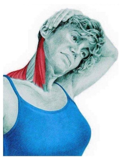 신체 부위별 스트레칭 방법 | 인스티즈