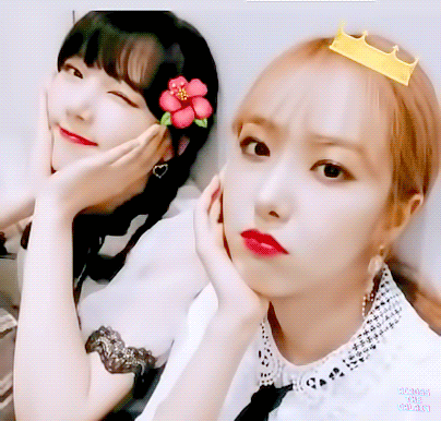 포카 교환하고 싶어서 여자친구 예린 | 인스티즈