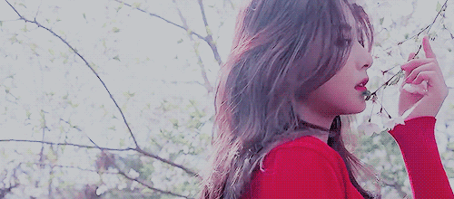 열받는데 트와이스나 보고 화푸세요 | 인스티즈