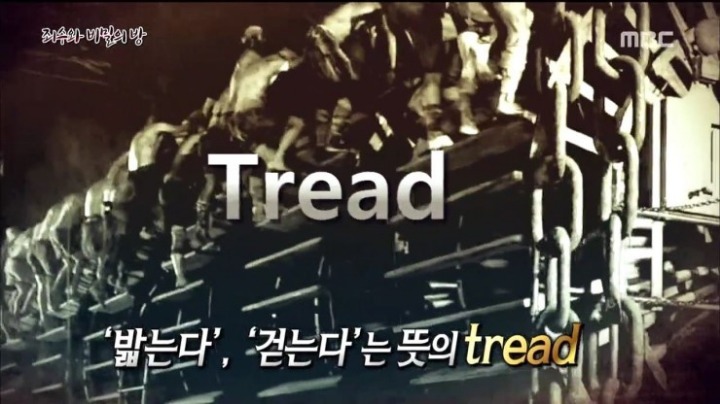 사실 19세기 고문기구였다는 전세계에서 사랑받는 이 운동기구 | 인스티즈