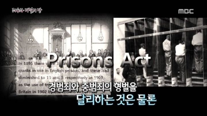 사실 19세기 고문기구였다는 전세계에서 사랑받는 이 운동기구 | 인스티즈