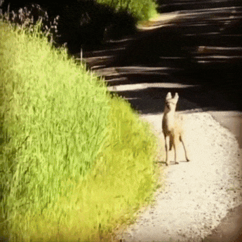 혹시 우리 엄마 못봤어요? | 인스티즈