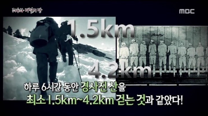 사실 19세기 고문기구였다는 전세계에서 사랑받는 이 운동기구 | 인스티즈