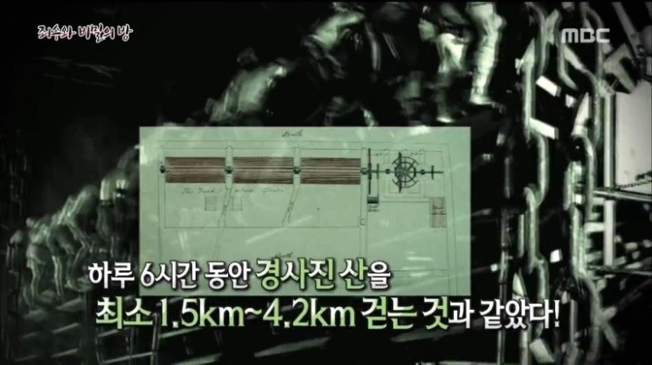 사실 19세기 고문기구였다는 전세계에서 사랑받는 이 운동기구 | 인스티즈