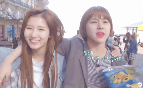 사나 애교에 면역된 채영이 | 인스티즈