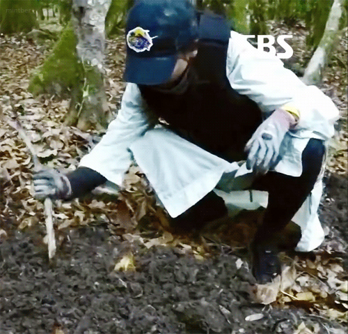 [레드벨벳] 슬기의 야무진 꿈 | 인스티즈