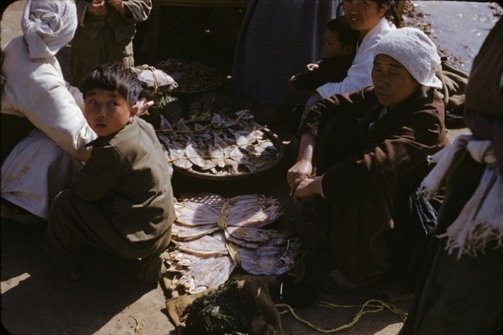 4부작 실제 영상으로 보는, 1부 1950년 6월 25일 북한의 남침, 전쟁의 시작 | 인스티즈