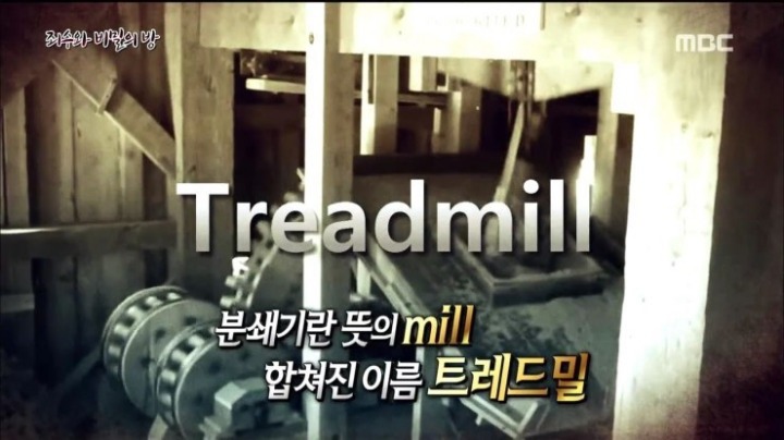 사실 19세기 고문기구였다는 전세계에서 사랑받는 이 운동기구 | 인스티즈