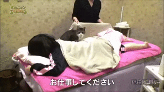 고갱님 시원하세요?.gif | 인스티즈