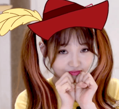 고양이 카페에 간 프로미스나인.gif | 인스티즈