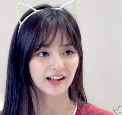고양이 카페에 간 프로미스나인.gif | 인스티즈