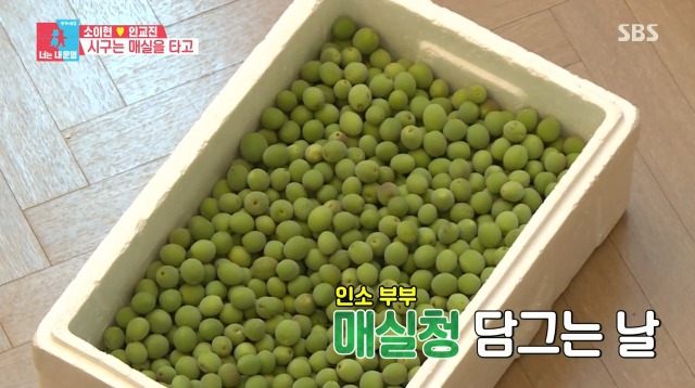[동상이몽2] 매실주 담는게 너무 행복한 소이현 | 인스티즈