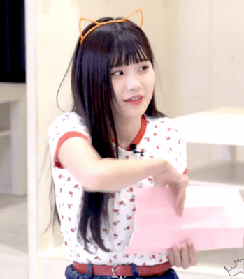 고양이 카페에 간 프로미스나인.gif | 인스티즈