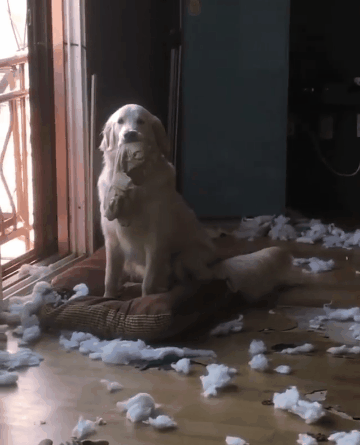 집사야 어서 왕~ | 인스티즈