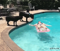 독일 침몰시키는 대한민국 | 인스티즈