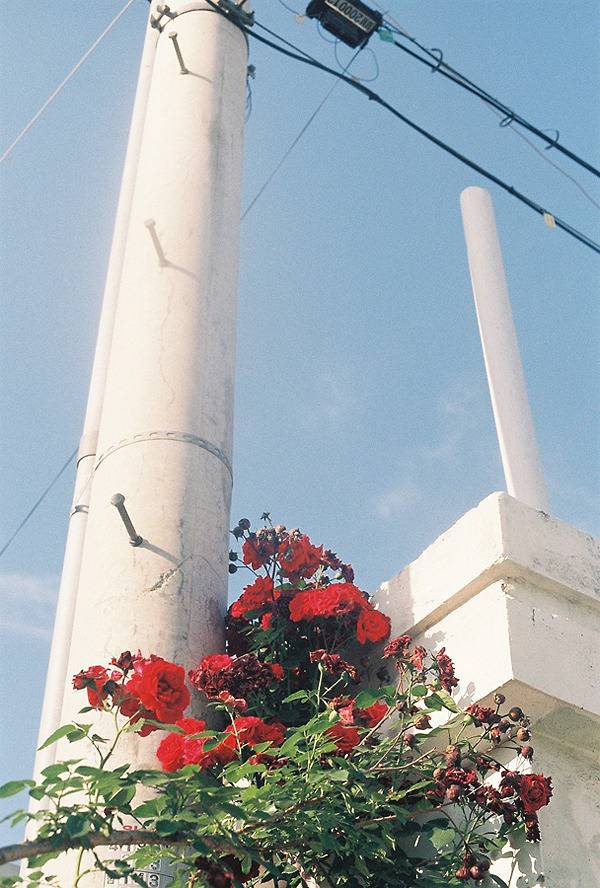 반짝이는 나의 작은 일상 | 인스티즈