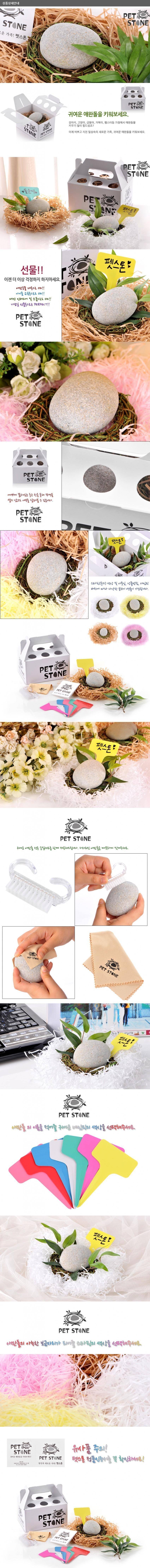 귀여운 애완돌을 키워보세요 | 인스티즈