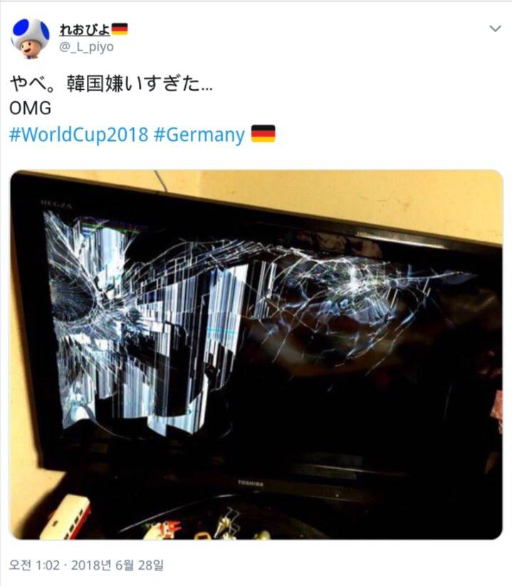 독일 응원한 일본인 ....jpg | 인스티즈