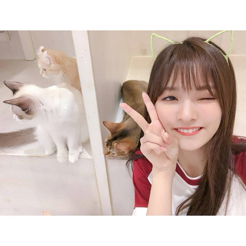 냥이까페간 프로미스 나인 | 인스티즈