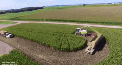 외국의 흔한 옥수수 수확 | 인스티즈