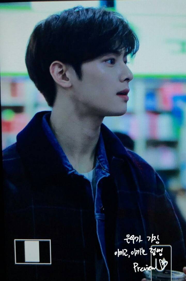 ì°¨ì€ìš°ê°€ ì´ì •ë„ë¡œ ìž˜ìƒê²¼ë‚˜.jpg | ì¸ìŠ¤í‹°ì¦ˆ