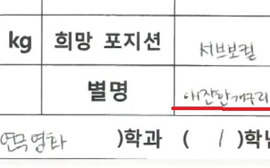 ì¶©ê²©ì ì¸ ì•„ì´ëŒ ì—°ìŠµìƒì˜ ë³„ëª… | ì¸ìŠ¤í‹°ì¦ˆ