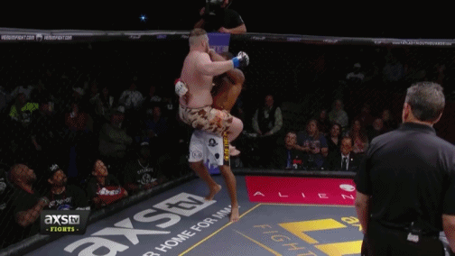 매미권을 함부로 따라하면 안되는 이유 | 인스티즈