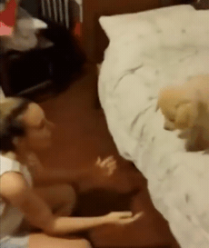 침대에서 뛰어내리는 인절미.gif | 인스티즈