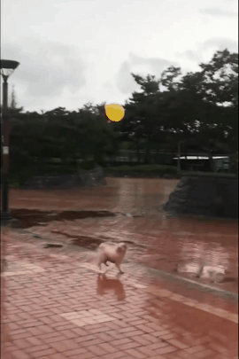 세상 신남ㅋㅋㅋㅋ | 인스티즈