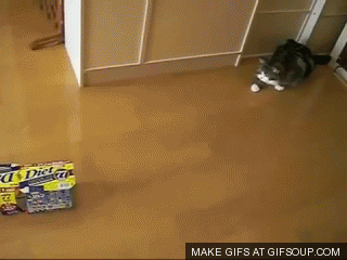 여자들이 반할 수 밖에 없다는 뒷모습 ㄷㄷㄷ.JPG | 인스티즈