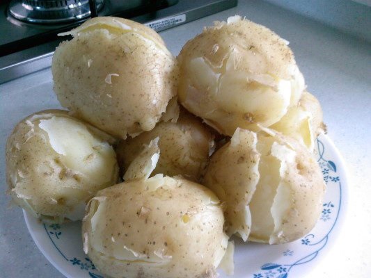 찐감자 vs 찐고구마 | 인스티즈