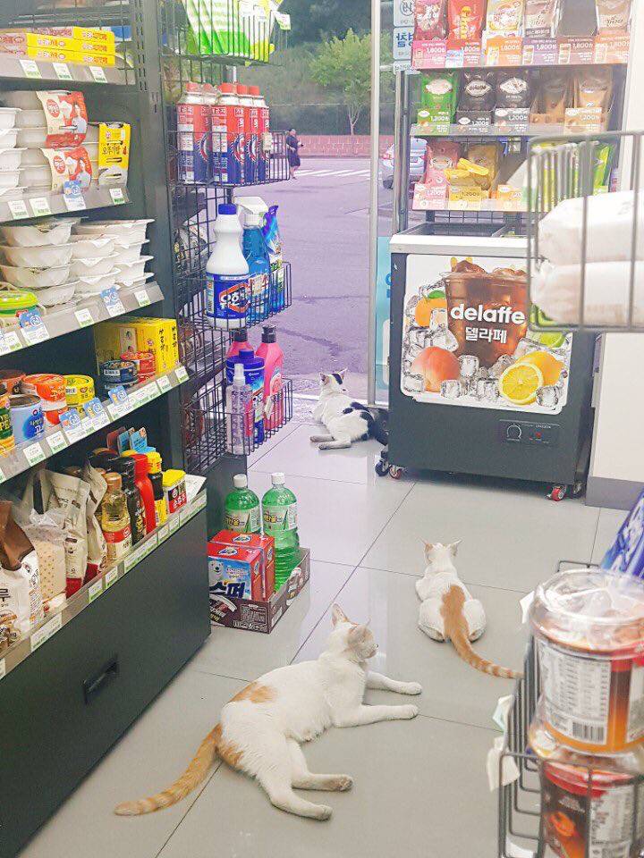 친구가 편의점 알바하는데 | 인스티즈