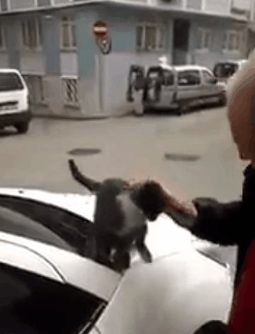 마 계속해라 냥 ~ | 인스티즈