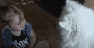 동물들의 아기 보기 | 인스티즈