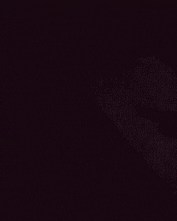 개와 고양이의 차이점 | 인스티즈