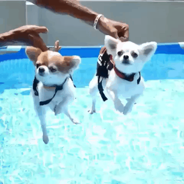 첫 수영.gif | 인스티즈