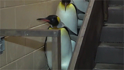 아무도 나에게 드레스 코드를 알려 주지 않았다 | 인스티즈