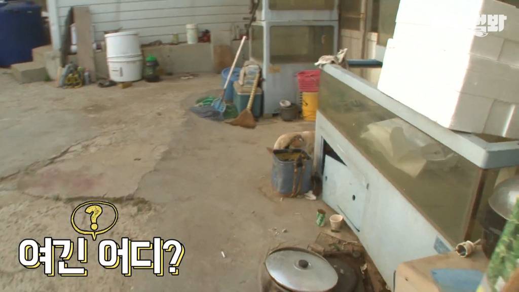 혼자 버스타고 지인 만나러 가는 강아지 상연이.jpg | 인스티즈