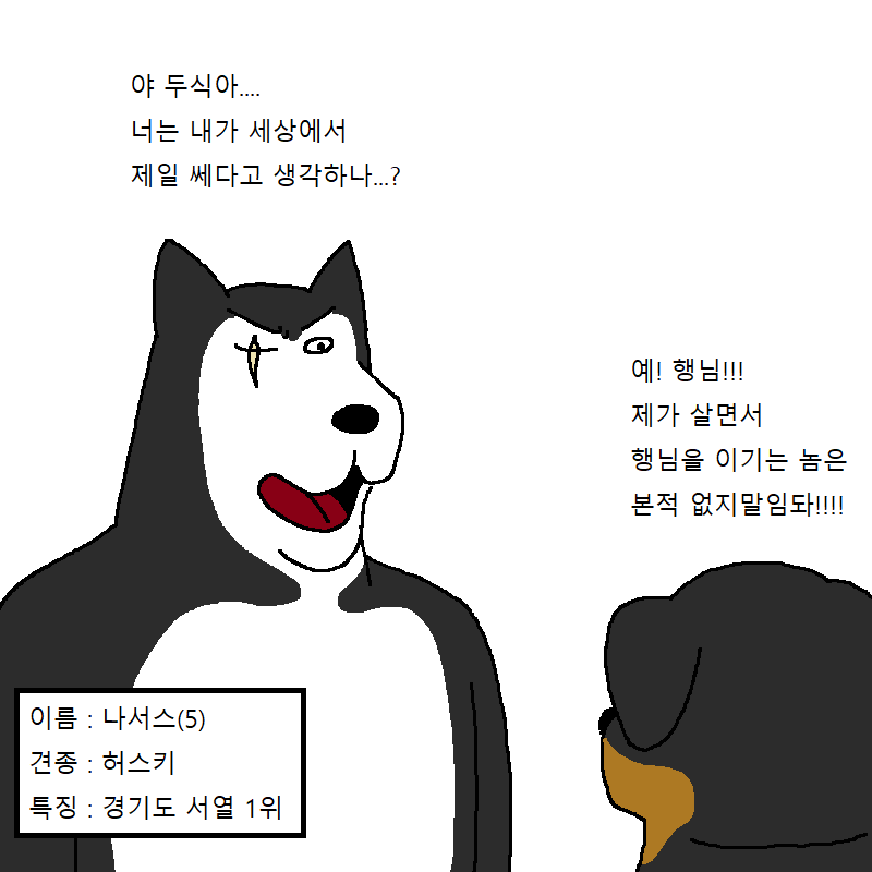 짐승친구들:고양이한테 옷 사주는 만화 | 인스티즈